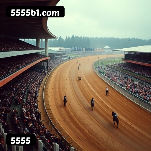 5555: Cassino Online Seguro e Divertido